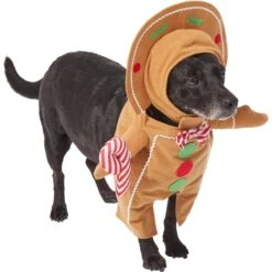 Frisco Front Walking Gingerbread Dog & Cat Costume -Paws Joy Outlet Store 276156 PT3. AC SS1800 V1631660334