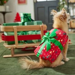 Frisco Holiday Giftbox Dog & Cat Costume -Paws Joy Outlet Store 276175 PT8. AC SS1800 V1631574832