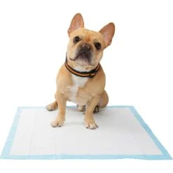 Frisco Premium Dog Training & Potty Pads & Frisco Premium Extra Large Dog Training & Potty Pads -Paws Joy Outlet Store 276223 PT4. AC SS1800 V1616193411