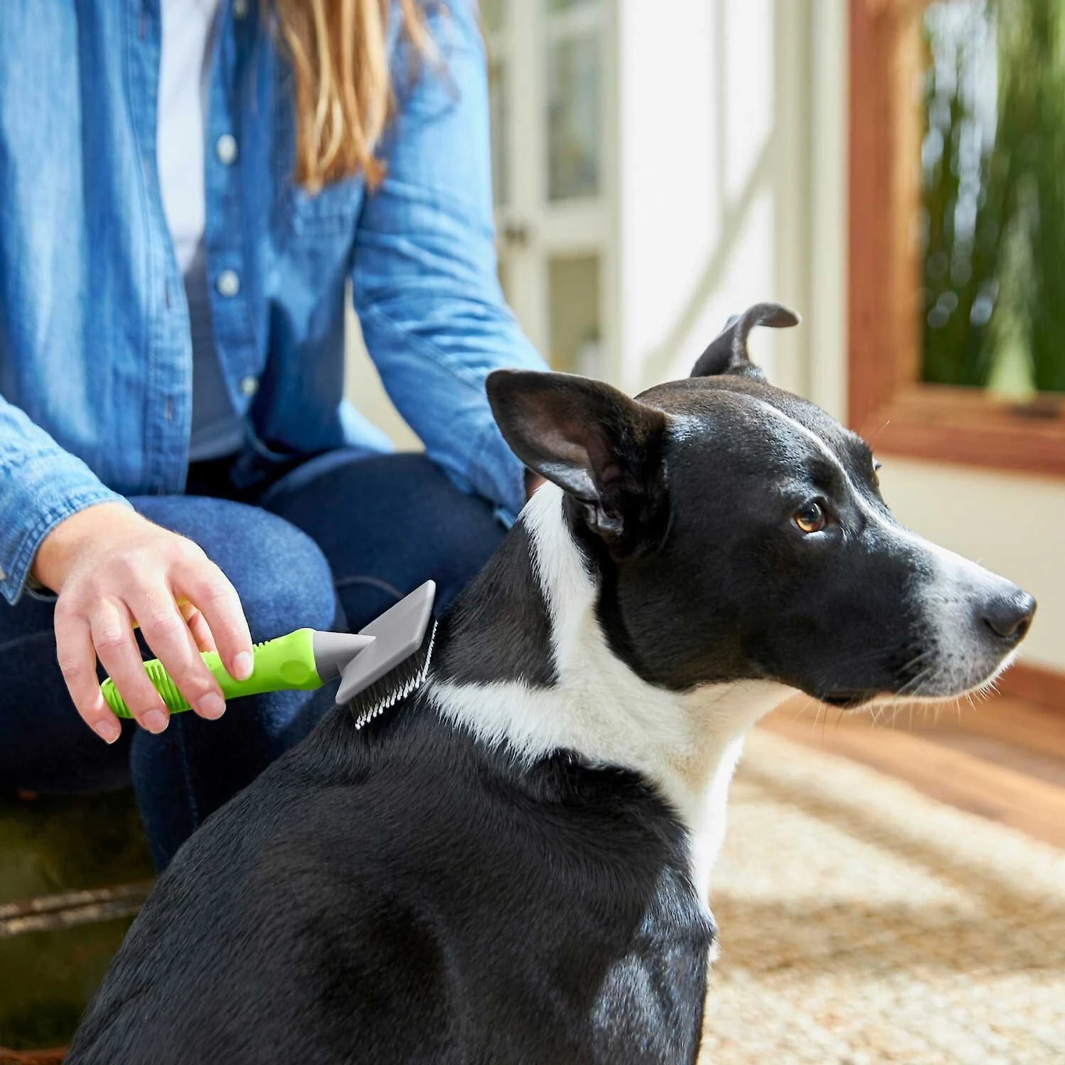 Frisco Soft Slicker Dog Brush, One Size & Frisco Deshedding Dog & Cat Brush 4 Frisco Soft Slicker Dog Brush, One Size & Frisco Deshedding Dog & Cat Brush - Image 4