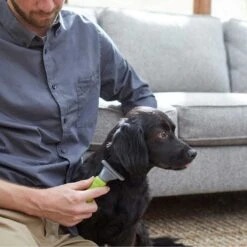 Frisco Soft Slicker Dog Brush, One Size & Frisco Deshedding Dog & Cat Brush 13 Frisco Soft Slicker Dog Brush, One Size & Frisco Deshedding Dog & Cat Brush -Paws Joy Outlet Store 276229 PT6. AC SS1800 V1616191886