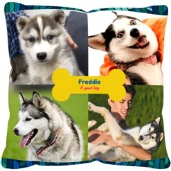 Frisco "Contemporary #2" Throw Pillow 16 X 16 -Paws Joy Outlet Store 276901 PT2. AC SS1800 V1625686286