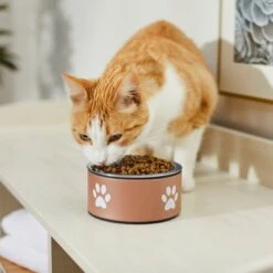 Frisco Paw Print Non-Skid Stainless Steel Dog & Cat Bowl -Paws Joy Outlet Store 277546 PT3. AC SS1800 V1630347716