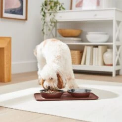 Frisco Silicone Stainless Steel Double Diner Dog & Cat Bowl, Brown -Paws Joy Outlet Store 277551 PT2. AC SS1800 V1630346531