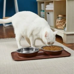 Frisco Silicone Stainless Steel Double Diner Dog & Cat Bowl, Brown -Paws Joy Outlet Store 277551 PT3. AC SS1800 V1630348104