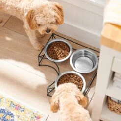 Frisco Multi Pet Feeding Corner 3-Bowls Stainless Steel Dog & Cat Bowl 8 Frisco Multi Pet Feeding Corner 3-Bowls Stainless Steel Dog & Cat Bowl -Paws Joy Outlet Store 277561 PT2. AC SS1800 V1630346973