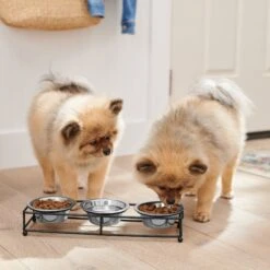 Frisco Multi Pet Feeding 3-Bowls Straight Stainless Steel Dog & Cat Bowl -Paws Joy Outlet Store 277568 PT2. AC SS1800 V1630346795