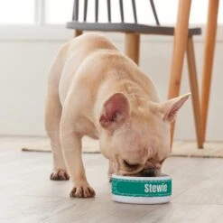 Frisco Personalized General Dog & Cat Small Dog Bowl 7 Frisco Personalized General Dog & Cat Small Dog Bowl -Paws Joy Outlet Store 278924 PT3. AC SS1800 V1629147374