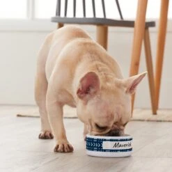 Frisco Personalized Mudcloth Small Dog & Cat Bowl -Paws Joy Outlet Store 278936 PT3. AC SS1800 V1629147692