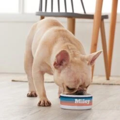 Frisco Personalized Watercolor Small Dog & Cat Bowl 7 Frisco Personalized Watercolor Small Dog & Cat Bowl -Paws Joy Outlet Store 278944 PT3. AC SS1800 V1629147733