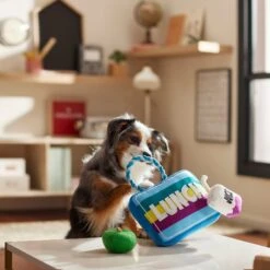 Frisco Back To School Lunchbox With Juice & Apple Plush With Rope Squeaky Dog Toy 5 Frisco Back To School Lunchbox With Juice & Apple Plush With Rope Squeaky Dog Toy -Paws Joy Outlet Store 279427 PT3. AC SS1800 V1628191372