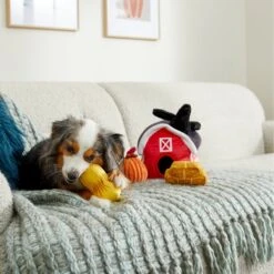 Frisco Fall Farmhouse Hide & Seek Puzzle Plush Squeaky Dog Toy 7 Frisco Fall Farmhouse Hide & Seek Puzzle Plush Squeaky Dog Toy -Paws Joy Outlet Store 285629 PT3. AC SS1800 V1629725107