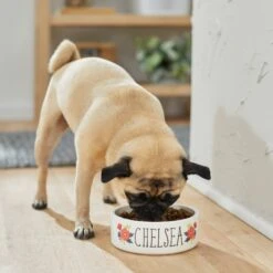 Frisco Flower Ceramic Personalized Dog Bowl -Paws Joy Outlet Store 286985 PT2. AC SS1800 V1625764713