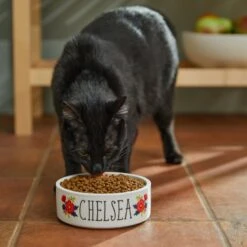 Frisco Flower Ceramic Personalized Dog Bowl -Paws Joy Outlet Store 286985 PT3. AC SS1800 V1625764702