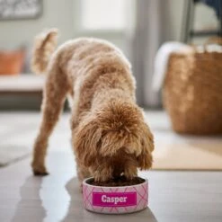 Frisco Personalized Plaid Ceramic Dog Bowl -Paws Joy Outlet Store 287013 PT4. AC SS1800 V1639518088