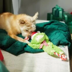 Frisco Holiday Monkey Plush With Rope Squeaky Dog Toy -Paws Joy Outlet Store 287115 PT3. AC SS1800 V1632774182