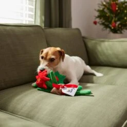 Frisco Flower Bouquet Plush Squeaky Dog Toy -Paws Joy Outlet Store 287163 PT3. AC SS1800 V1632776821