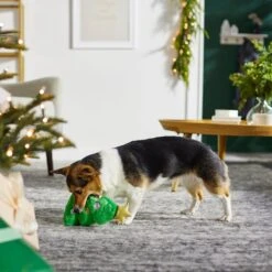 Frisco Holiday Tree Thin Plush Squeaky Dog Toy 7 Frisco Holiday Tree Thin Plush Squeaky Dog Toy -Paws Joy Outlet Store 287167 PT3. AC SS1800 V1632773873