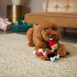 Frisco Holiday Carolers Plush Squeaky Dog Toy, 3 Count -Paws Joy Outlet Store 287169 PT3. AC SS1800 V1632774907