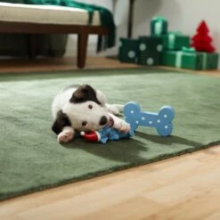 Frisco Blue Bundle Latex Squeaky Puppy Toy, 2 Count 7 Frisco Blue Bundle Latex Squeaky Puppy Toy, 2 Count -Paws Joy Outlet Store 287185 PT3. AC SS1800 V1632775643