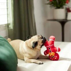 Frisco Holiday Naughty Or Nice Gingerbread Man Reversible Plush Squeaky Dog Toy 9 Frisco Holiday Naughty Or Nice Gingerbread Man Reversible Plush Squeaky Dog Toy -Paws Joy Outlet Store 287217 PT3. AC SS1800 V1632775304