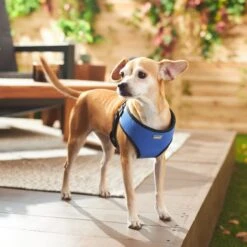 Frisco Padded Step-In Harness 9 Frisco Padded Step-In Harness -Paws Joy Outlet Store 287451 PT8. AC SS1800 V1631669389