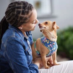 Frisco Fashion Over-The-Head Harness, Tropical Floral -Paws Joy Outlet Store 287476 PT8. AC SS1800 V1632316953