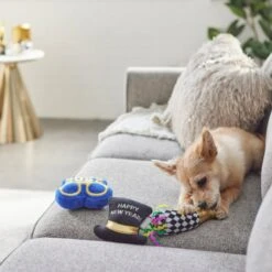 Frisco New Year's Eve Party Essentials Plush Squeaky Dog Toy 5 Frisco New Year's Eve Party Essentials Plush Squeaky Dog Toy -Paws Joy Outlet Store 288484 PT3. AC SS1800 V1638289955