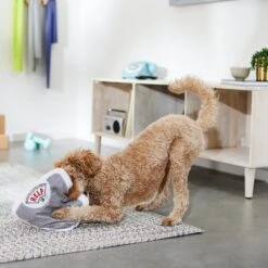 Frisco Scale Plush Squeaky Dog Toy 5 Frisco Scale Plush Squeaky Dog Toy -Paws Joy Outlet Store 288911 PT3. AC SS1800 V1638289585