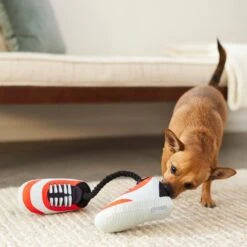 Frisco Running Shoes Plush With Rope Dog Toy -Paws Joy Outlet Store 288915 PT3. AC SS1800 V1638292478