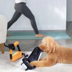 Frisco Treadmill & Bike Plush Squeaky Dog Toy, 2 Count -Paws Joy Outlet Store 288921 PT3. AC SS1800 V1638290517