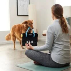 Frisco Yoga Mat Plush Squeaky Dog Toy -Paws Joy Outlet Store 288923 PT3. AC SS1800 V1638290551