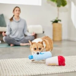 Frisco Protein & Water Bottle Cruncher Dog Toy 5 Frisco Protein & Water Bottle Cruncher Dog Toy -Paws Joy Outlet Store 288927 PT3. AC SS1800 V1638291847