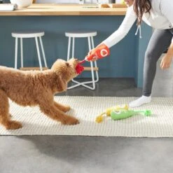 Frisco New Year, New Me Juice Cleanse Plush Squeaky Dog Toy -Paws Joy Outlet Store 288929 PT3. AC SS1800 V1638289348