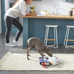 Frisco Cookbooks Plush Squeaky Dog Toy, 2 Count 5 Frisco Cookbooks Plush Squeaky Dog Toy, 2 Count -Paws Joy Outlet Store 288937 PT3. AC SS1800 V1638287852