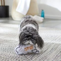 Frisco Message Bubble Plush Squeaky Dog Toy 7 Frisco Message Bubble Plush Squeaky Dog Toy -Paws Joy Outlet Store 288941 PT3. AC SS1800 V1638289328