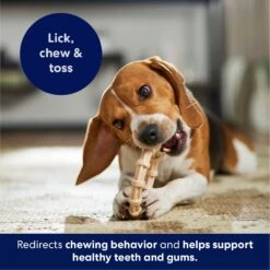 Frisco Ring Tough Nylon Chew Dog Toy, Chicken Flavor -Paws Joy Outlet Store 290533 PT4. AC SS1800 V1695760990