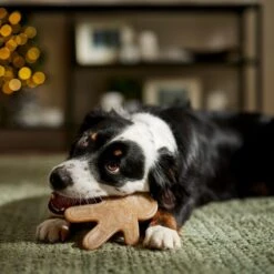 Frisco Nylon Gingerbread Dog Chew Toy, Beef Flavor, Medium -Paws Joy Outlet Store 291385 PT3. AC SS1800 V1668108316