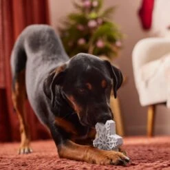 Frisco Holiday Nylon Snowflake Dog Chew Toy, Peanut Butter Flavor, Medium -Paws Joy Outlet Store 291387 PT3. AC SS1800 V1629306692