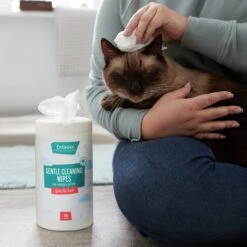 Frisco Gentle Cleaning Waterless Grooming Wipes For Puppies & Kittens, Green Tea Scent -Paws Joy Outlet Store 291592 PT5. AC SS1800 V1627306905