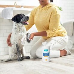 Frisco Deodorizing Paw & Bum Waterless Grooming Wipes For Dogs & Cats -Paws Joy Outlet Store 291593 PT4. AC SS1800 V1627654025