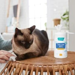 Frisco Deodorizing Paw & Bum Waterless Grooming Wipes For Dogs & Cats -Paws Joy Outlet Store 291593 PT5. AC SS1800 V1627653728