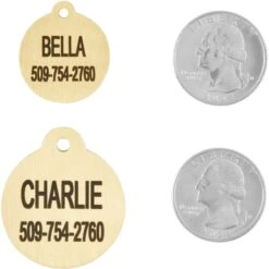 Frisco Brass Personalized Dog & Cat ID Tag, Round -Paws Joy Outlet Store 296194 PT5. AC SS1800 V1628186525