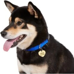 Frisco Brass Personalized Dog & Cat ID Tag, Heart -Paws Joy Outlet Store 296197 PT6. AC SS1800 V1628186493
