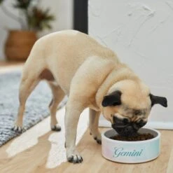 Frisco Watercolors Ceramic Personalized Dog Bowl -Paws Joy Outlet Store 296664 PT2. AC SS1800 V1625764663