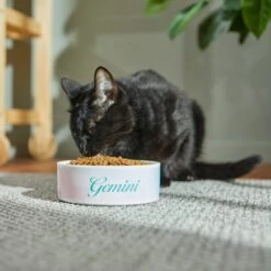 Frisco Watercolors Ceramic Personalized Dog Bowl -Paws Joy Outlet Store 296664 PT3. AC SS1800 V1625764646