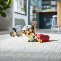 Frisco Brunch Bloody Mary Plush Squeaky Dog Toy -Paws Joy Outlet Store 297228 PT2. AC SS1800 V1642088343