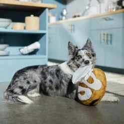 Frisco Brunch Cinnamon Roll Jumbo Plush Squeaky Dog Toy -Paws Joy Outlet Store 297260 PT2. AC SS1800 V1642089012