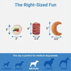 Frisco Brunch Pastry Plate Plush Squeaky Dog Toy -Paws Joy Outlet Store 297262 PT2. AC SS1800 V1643916710