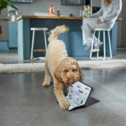 Frisco Brunch Menu Ballistic Nylon Flat Plush Squeaky Dog Toy 5 Frisco Brunch Menu Ballistic Nylon Flat Plush Squeaky Dog Toy -Paws Joy Outlet Store 297276 PT2. AC SS1800 V1642088788